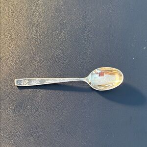 Elegant Silver Spoon